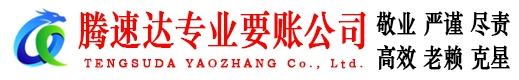 应城腾速达收账公司
